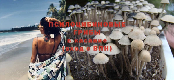 мефедрон Богородицк